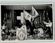 8820 Wädenswil Foto AK 20 Jahre 1955 - Harmonikaspieler, Fahnen