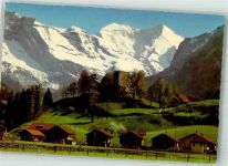 3714 Frutigen Foto AK Burg Ruine Tellenburg