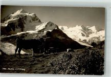 7504 Pontresina Foto AK Alp Ota