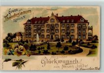 8000 Zürich Lithographie Theodosianum Zürich V.