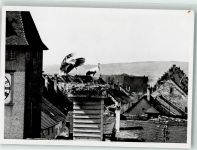 8213 Neunkirch - Storchennest