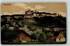 8158 Regensberg Gebrauchsspuren Schloss Lithografie