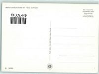 8706 Meilen - Autofähre Meilen Horgen