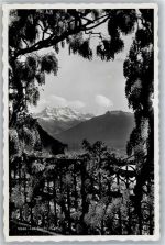 1806 St-Légier-La Chiésaz - les Dents du Midi