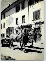 8213 Neunkirch - Tiergespann Pferdegeschirr Bauernhof Ferme