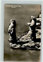 Basel Bâle Zoologischer Garten Fischotter Zoo