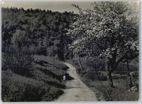 5106 Veltheim AG - Foto ca. 13x18 cm