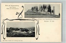 8340 Bachtel 1907 Foto AK Bachtelkulm Schwarzenberg Farner