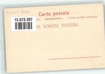 3860 Brünig Lithographie Bahnhof Gasthaus Kurhaus Bergbahn Brünig-Bahn