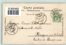 1823 Glion 1904 - Hirte mit Schafen und Ziegen Ort lt. Stempel