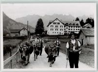 9651 Rietbad Foto AK Alpabfahrt Kurhaus Tracht Kuh Vieh Hotel