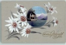 Edelweiss Neujahrswunsch