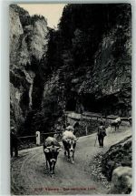 Viamala 1910 - Kühe das verlorene Loch