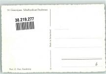 Gemmipass Wallis Foto AK Schafherde am Daubensee