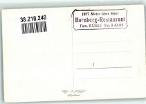 3780 Gstaad Foto AK Gasthaus Hornberg