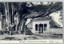 5620 Bremgarten AG - Einsiedelei Emaus Riesenlinde