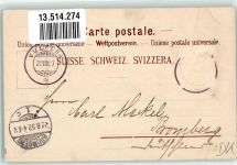 7553 Tarasp 1897 Lithographie Waldhaus Vulpera Schloss Tarasp