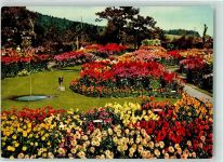 8103 Unterengstringen - Dahlienschau