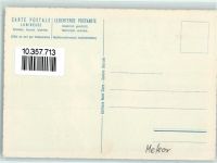 Chillon Chateau - Patent Leucht AK Schloss