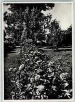 8706 Obermeilen - Schwesternheim