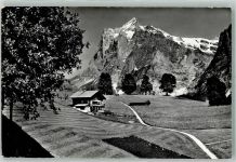 3818 Grindelwald Foto AK Pension Chalet Grindelwaldsübli