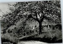 8265 Mammern - Untersee