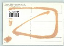 1470 Estavayer-le-Lac Gebrauchsspuren Fliegeraufnahme Institut Stavia