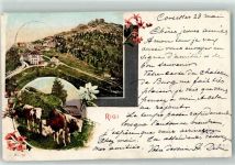 Rigi Kulm Gebrauchsspuren Kühe