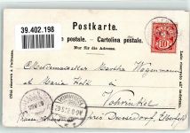 Rigi Kulm Gebrauchsspuren Kühe