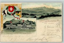 9104 Waldstatt 1902 Prägedruck Säntis Kuranstalt Morgenstern Hotel Pension Hirschen Lithographie