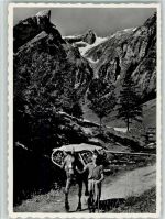 Alpstein - Im Alpstein Der Seealpsäumer Im Hintergrund der Säntis Pferd