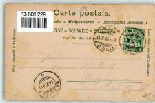 9500 Wil SG 1901 Lithographie Asyl Tonhalle