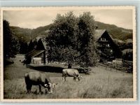 9633 Hemberg 1951 Foto AK Pension Stocken AK