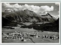 7505 Celerina/Schlarigna 1959 - Engadin Blick gegen Piz Languard
