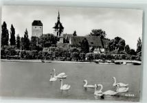 9320 Arbon Foto AK Schwäne
