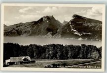 3703 Aeschi b. Spiez