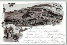 8636 Wald ZH 1898 Lithographie Bachtelturm Sanatorium