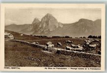 6673 Maggia - Alp Stoos Frohnalpstock Kempttal Kühe