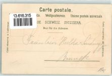 8805 Richterswil Lithographie Kranken-Asyl Schulhäuser Kirche Raddampfer Verlag Künzli Nr 497