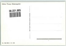 7553 Tarasp Foto AK Schloss