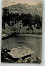 3762 Erlenbach im Simmental Foto AK Stockhorn See