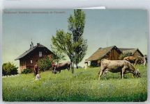 8700 Küsnacht ZH - Restaurant Waldhaus Kühe