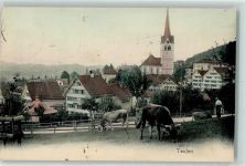 9053 Teufen AR 1904 - Kühe