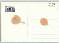 8157 Dielsdorf Gebrauchsspuren Fliegeraufnahme