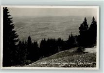 1618 Châtel-St-Denis - Les Plaiades vue sur Châtel St. Denis Bäume