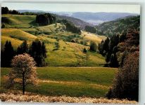 8495 Sitzberg Schmidrüti - Gewaltfreie Aktion gegen AKW´s