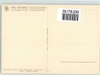 Blumenvase gelbe Margeriten sign. Hch. Widmer AK Pro Infirmis Schweiz Künstlerkarte