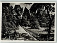 8265 Mammern 1946 Foto AK parkpartie
