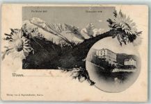 7494 Wiesen GR 1906 Gebrauchsspuren Piz Michel Tinzenhorn Passepartout