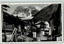 3961 St-Luc - et le Tounot